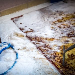 Carpet Cleaning Solutions in Vancouver