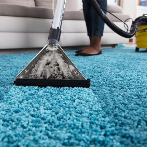 Carpet Cleaning in Vancouver, WA Carpet Cleaning in Vancouver, WA